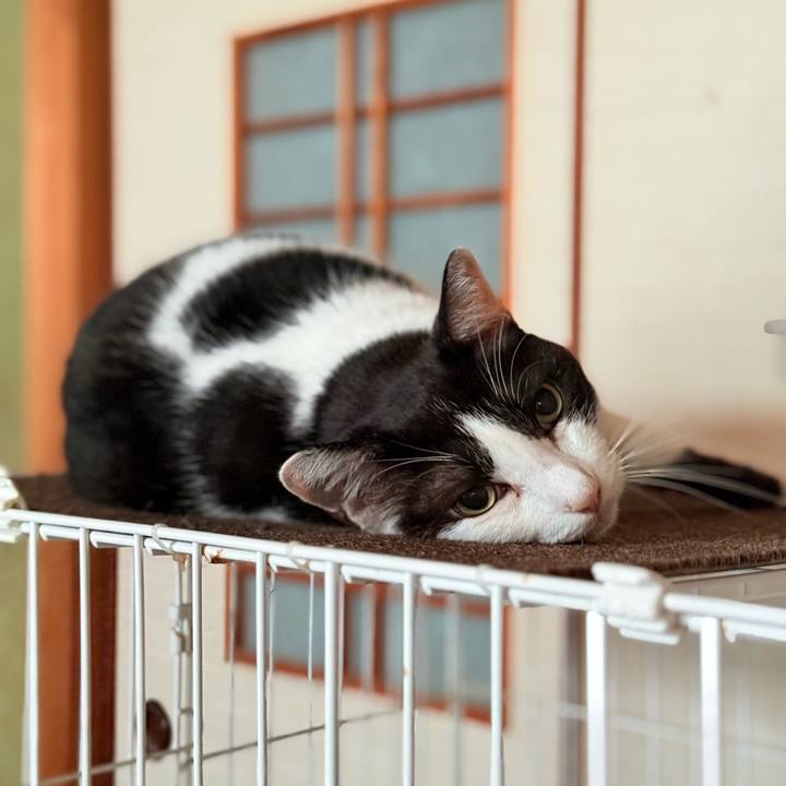 8f051d01 e260 49a1 8e47 331bbab98b40 1729648035444