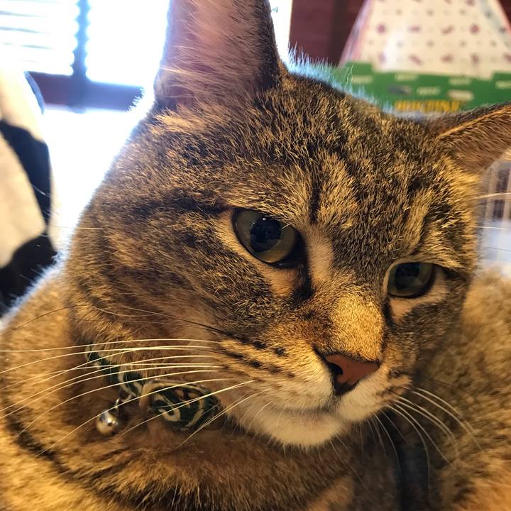 8f05207e b2c4 4bde a84e eb3db21f6d48 1530945064334