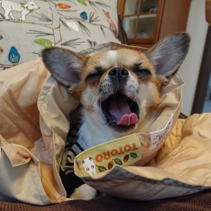 8f053ab5 246b 4200 807f 94f699eb126a 1544088908978