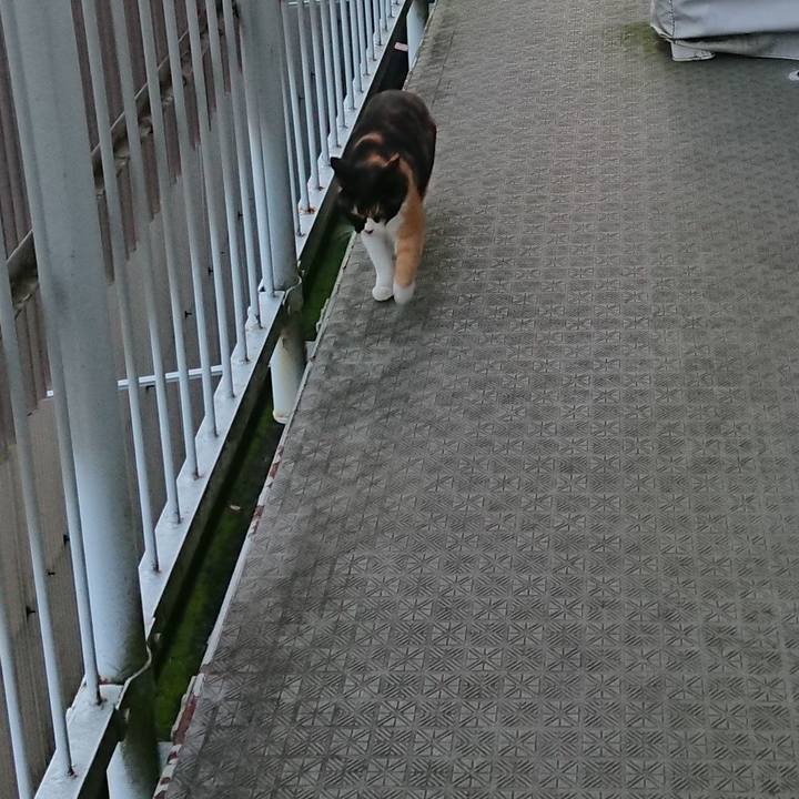 8f0586a4 620a 4c71 867e 33facb9e96c1 1670624974822