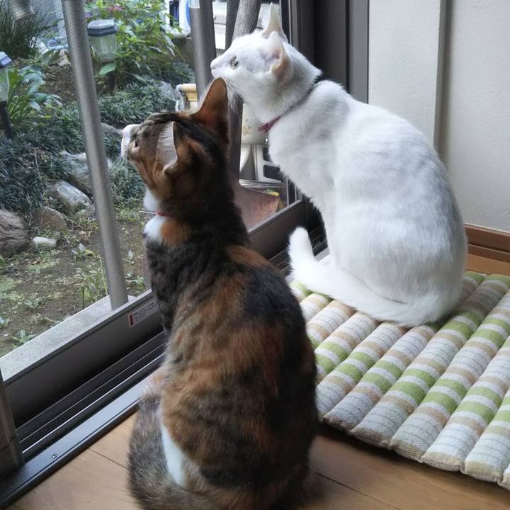 8f05ce83 f956 4f05 a5f9 395d3e91acbb 1636236891180