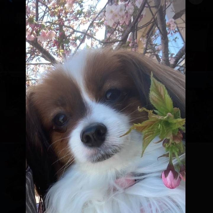 8f05d8a5 98d8 43ba aa99 87de362eac89 1650718854116