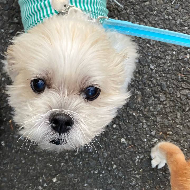 8f062e1e 1fd1 44bf a89b 56394a3fa4cc 1694683948358