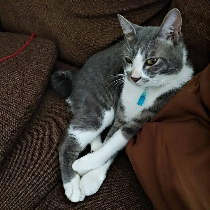 8f0675a1 6a1d 4139 bdeb f7ec4c0dd4e3 1594690067272