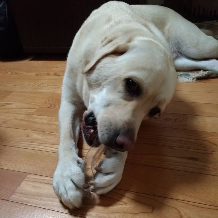 8f06e5a2 36fa 4ad9 b48c 3c8bd63324f3 1562329568480