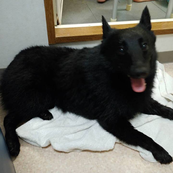 8f06f6c8 0bf7 4773 ac71 98144e3fc064 1593226475832