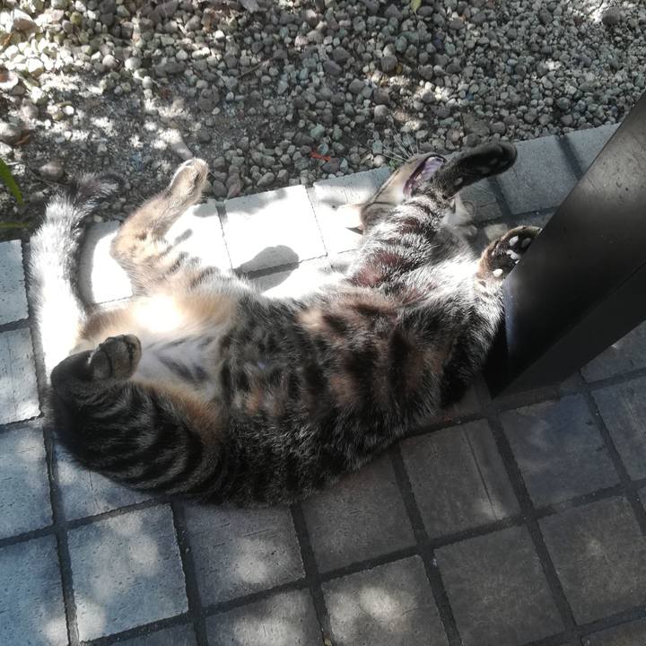 8f070299 a73a 4862 a092 c5226b6ba17b 1538452505291