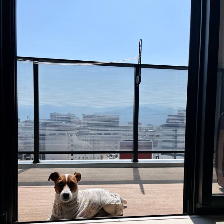 8f070773 9213 4764 a0b8 51c5039eb6ca 1651624207293