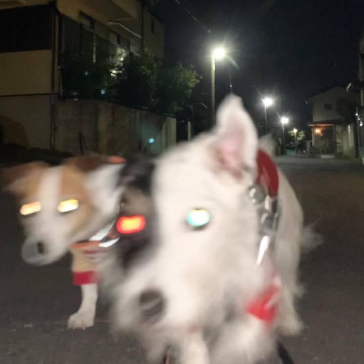 8f0713a7 6292 415d 916a 23ceab130d04 1698153585287