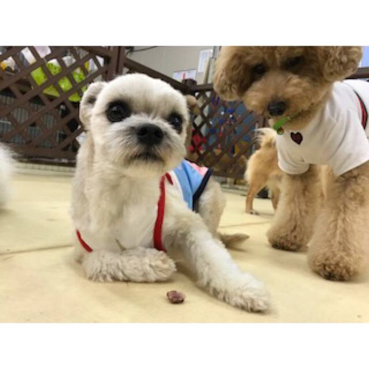 8f07558a 3bc2 4e30 921b 452e42a2fee9 1529320618269