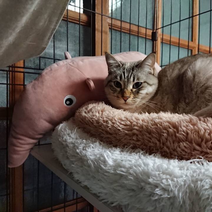 8f0759bb 1645 40d5 958e 53c8399842ba 1580491290828