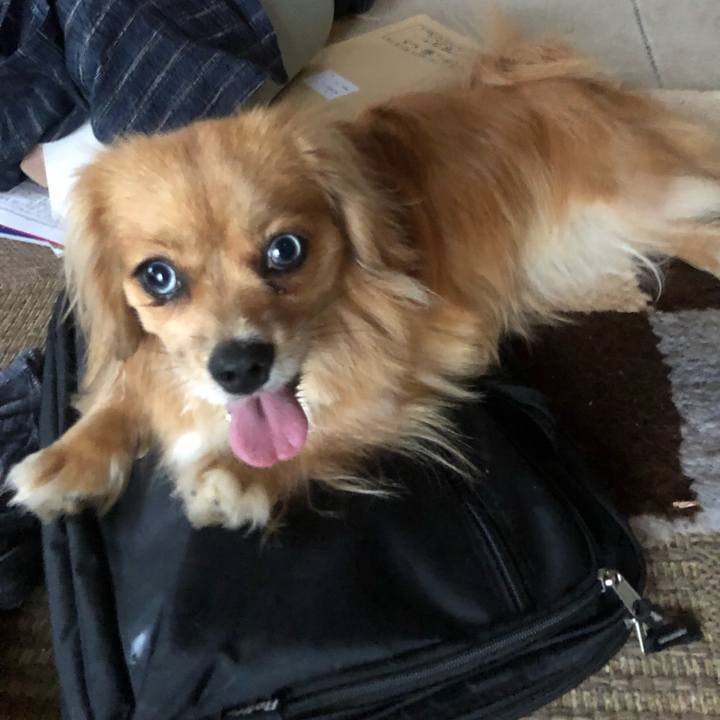 8f07683a 2ee2 43be 8ce8 27ba26f8d789 1532725996778