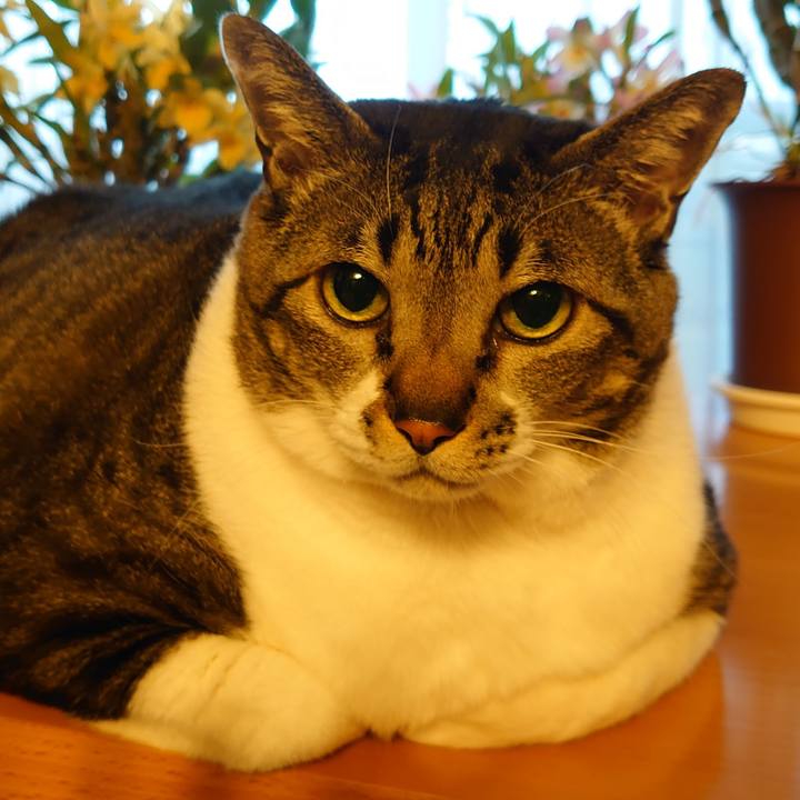 8f078c13 0a44 4976 8cd4 a3e389c4328b 1614241537297