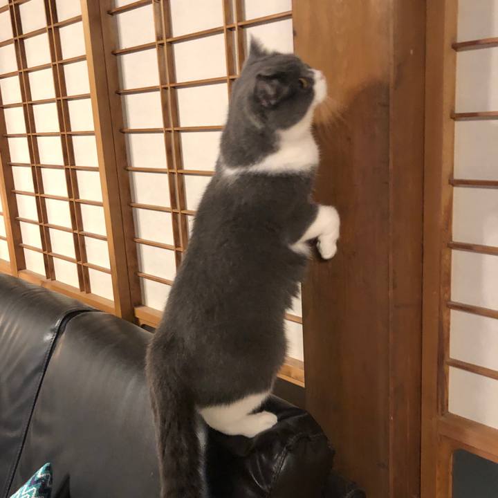 8f079cc4 49d6 4e1a 8d24 eed4384e8a03 1573045043531