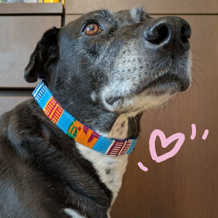 8f07b702 93ee 40b9 9eec a01b50c27f3d 1743672438781