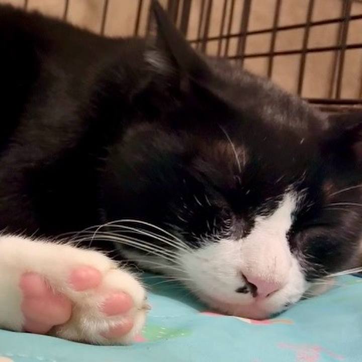 8f07d7fc f7f8 42f8 a454 8afaa73bc0e5 1757333219449