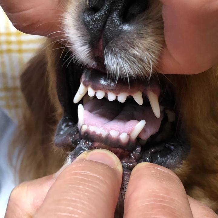 8f0876ad 3521 4b18 a961 1fcdcee8bc67 1603059779304