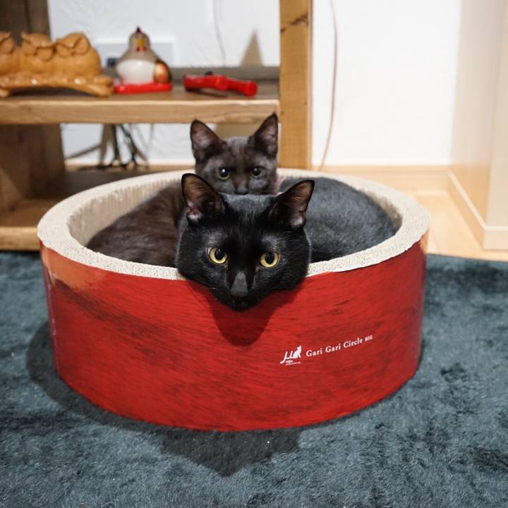 8f0878e3 8c35 4a3d 8a72 77ef6f7724c9 1510097881309