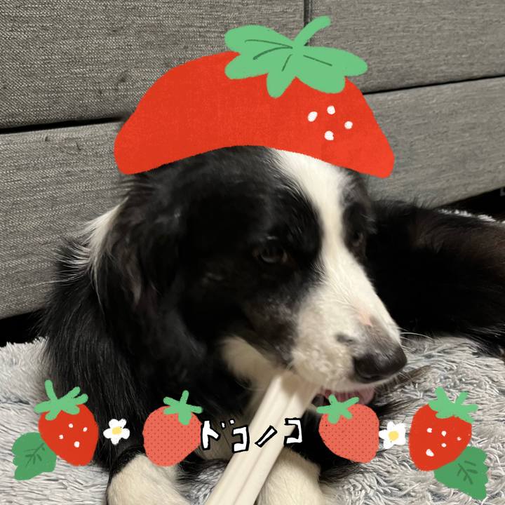 8f08a7db 010c 4fbf a40d 79d0db40e058 1775222301946