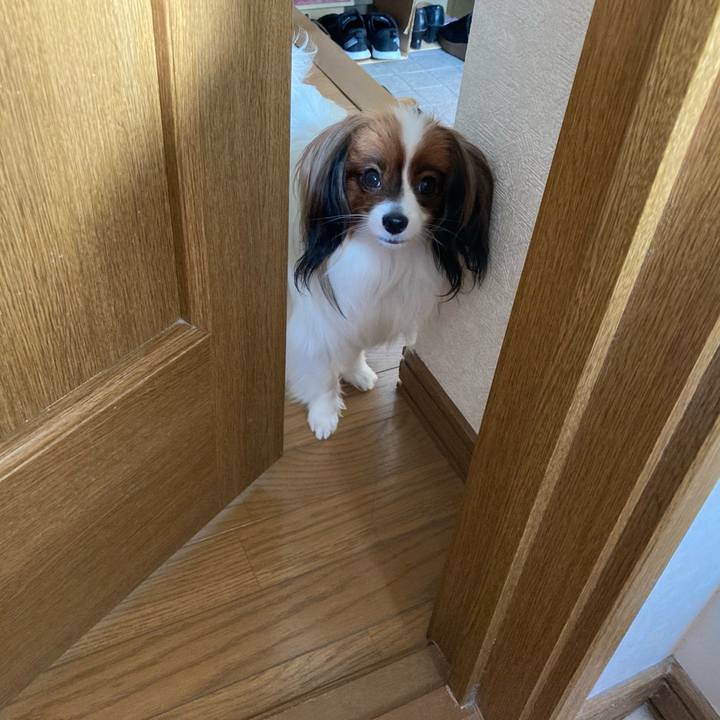 8f08c61f 6d04 43af a447 da4cfd2c1624 1632005990335