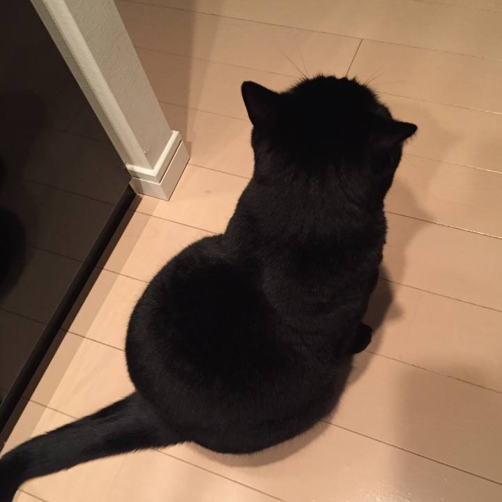 8f08f427 66ff 401e 941f e06bede7be56 1545314271911