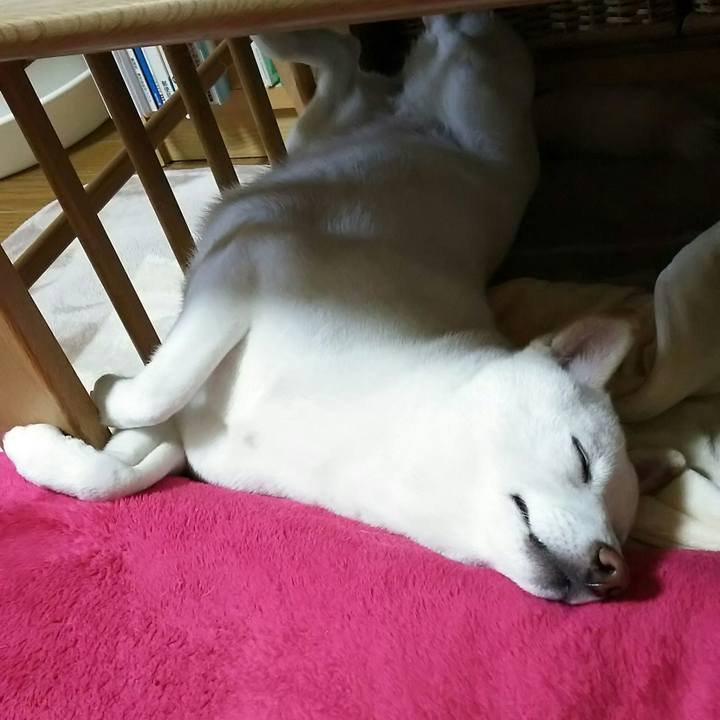 8f09095e c7ef 4cd4 b3dc 0161a156df76 1523975500345