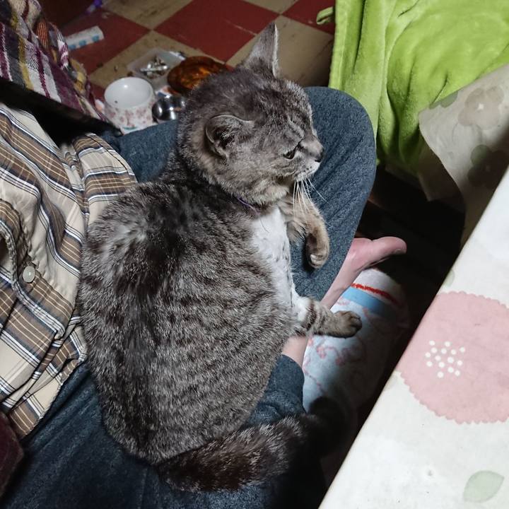 8f0939fe ec7b 41f0 86cd 03ef4bd5d2ad 1589055371381