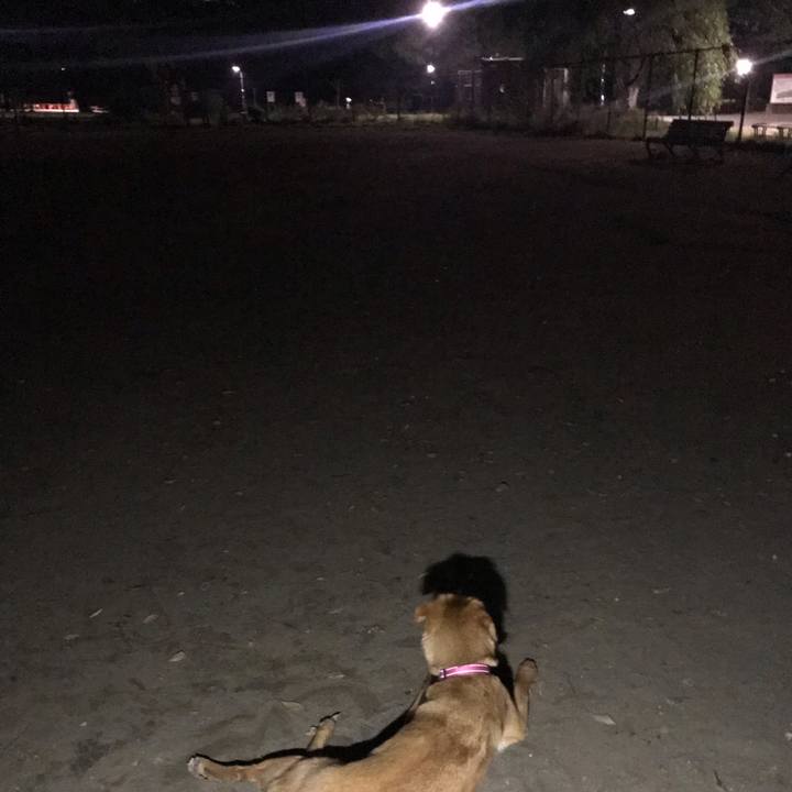 8f095b41 a816 4fe6 a17f 57c860a8cd96 1558781801363