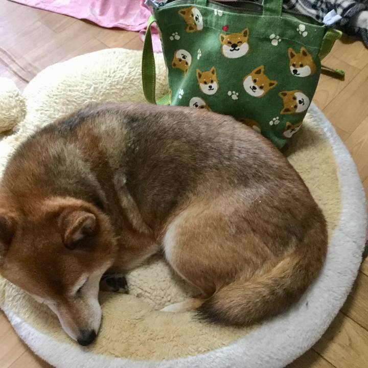 8f0991b1 4715 4565 91af 6e974c5abeeb 1586906524075