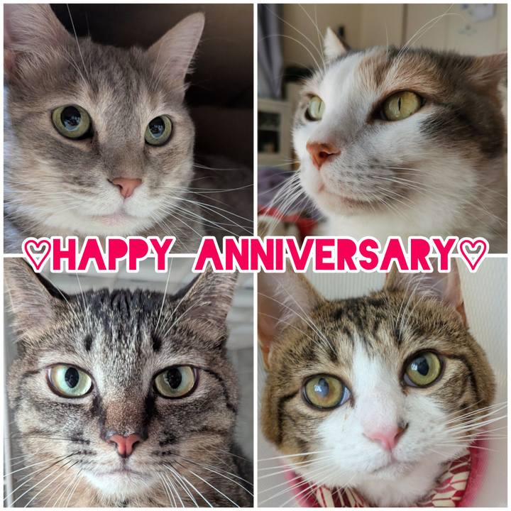 8f099894 3ead 4ed8 9c33 c6dedafe93b8 1755043163227