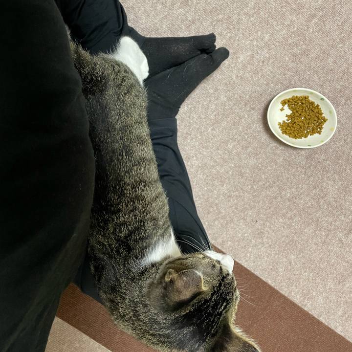 8f099b2a 97a4 437e a420 5457290188d0 1727258288880