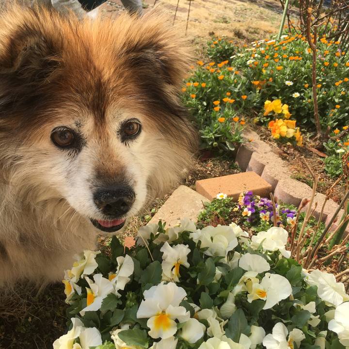 8f09cb1a 73ca 47ea 859e 2dca26a26348 1661690148616