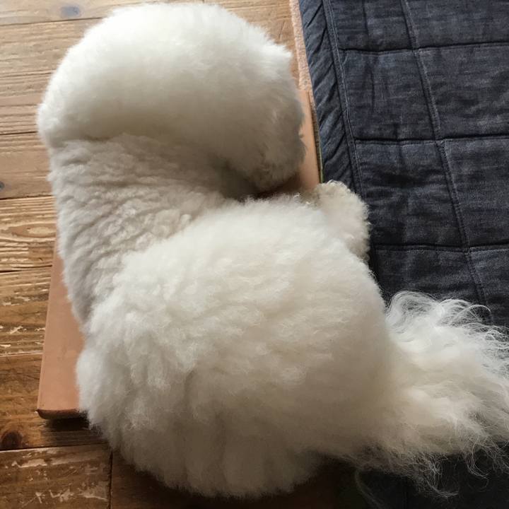 8f0a17ce 7044 42eb 866e 6d123dd438f1 1531783040217