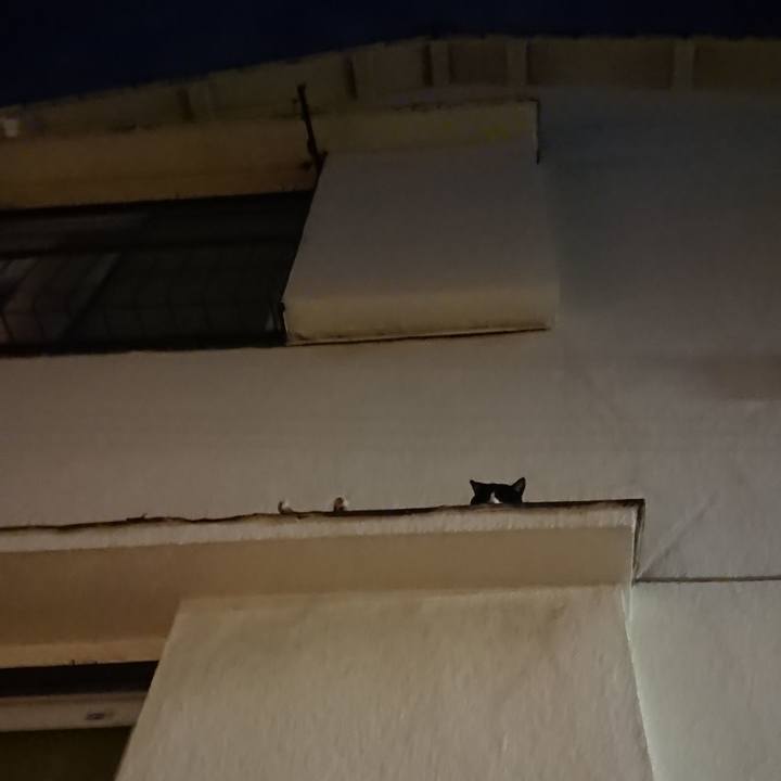 8f0a1d5f 7ef0 4729 8cff 5a8a6841a848 1532953883046