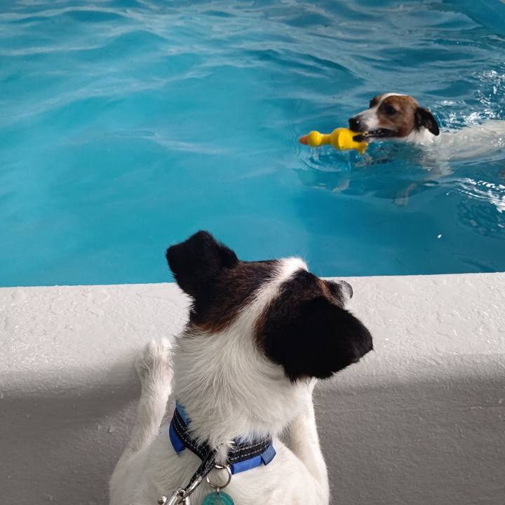 8f0a629a 0c2b 4c35 9b3d 43a363ded8d1 1686224784316