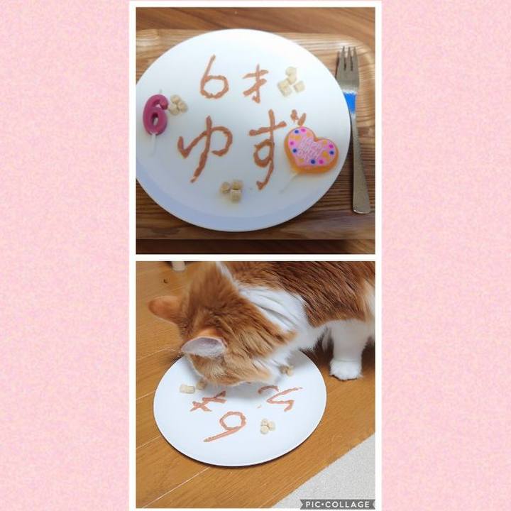 8f0a9fac 68a8 48ef b93c a5dc19831a16 1616410738687