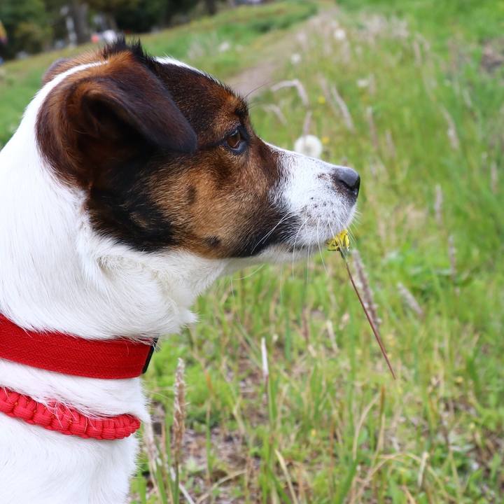 8f0aad37 04f4 43c3 88f1 824d8755286c 1554980238358