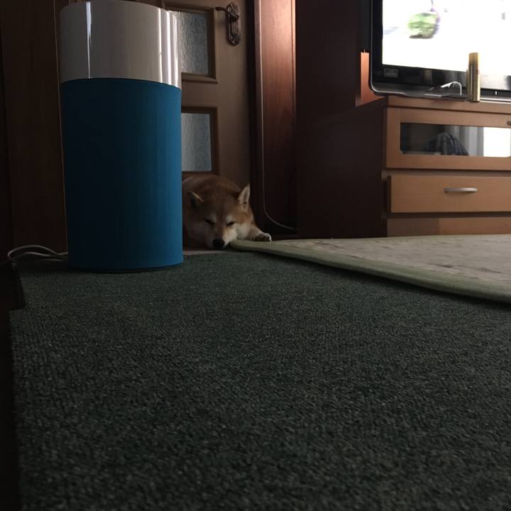 8f0ad54f 210d 4f92 a5e6 bae20243c775 1564907112573