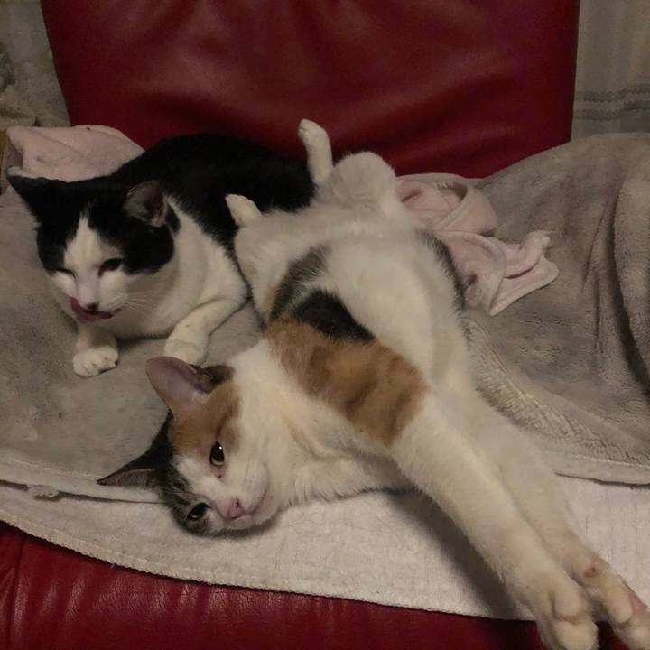 8f0aede8 72bd 4150 940a ea55ab575f69 1608233998898