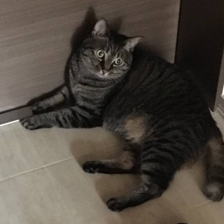 8f0af09e 10a7 4759 a089 4e9aaaff7acd 1564555842251