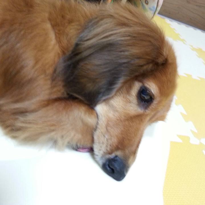 8f0b2d6c 1d36 493f a3fa 75f972bc4dae 1542290133542