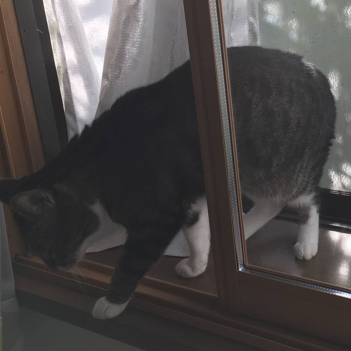 8f0b39f2 e84d 48c9 adc7 7a3c14065e66 1511670482748