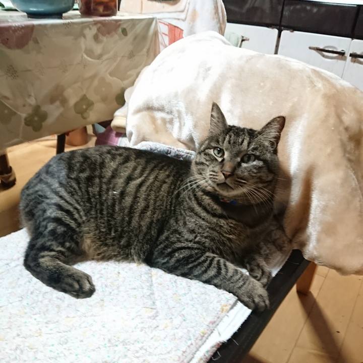 8f0b3e40 93a4 427a 8f56 4600d3ad6624 1642110605770