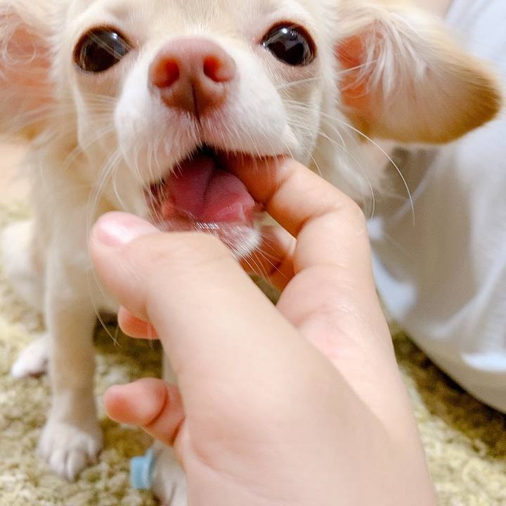 8f0b3fdf 43cf 4cf0 a3f9 7249da5818f2 1597312765521