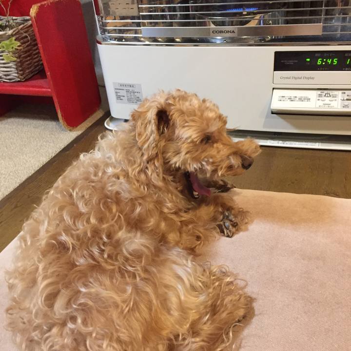 8f0b5419 f234 446f 86be 2396afd30d23 1514411024661