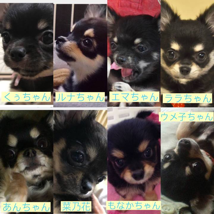 8f0b6ba4 4570 44d8 a547 ac799f367006 1567845970697