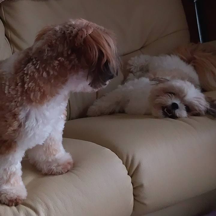 8f0b6c05 94fb 455b a65b c6c98de07cda 1594966558672