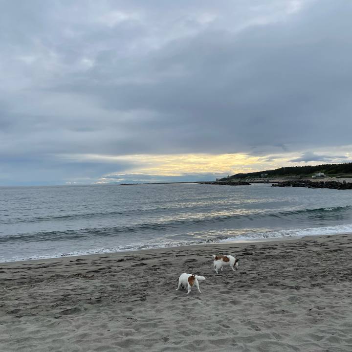 8f0b9192 20ad 4ec2 bb7d 1705e1dea1ca 1748643648688