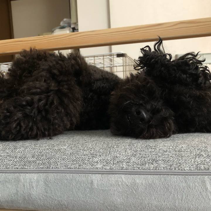 8f0bd45f c24f 4021 a607 397e58ca5cd7 1573979149928