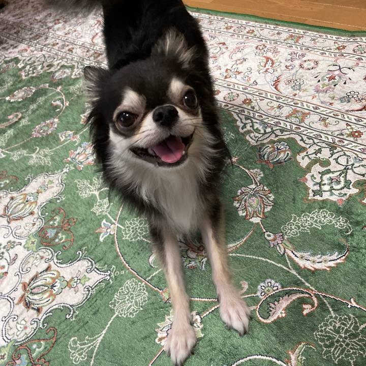 8f0bfeb7 ea8a 47c8 82f8 4f35c415ac65 1663507963119